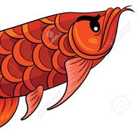 朕興龍魚分享競標交流群