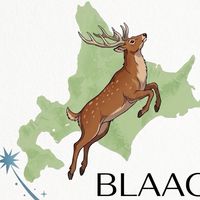 BLAAC (北海道ランナー🏃‍♀️🏃‍♂️🏃)