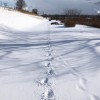 北海道ランナー🏃‍♀️🏃‍♂️🏃