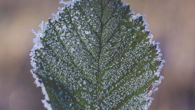 Kondensasi Adalah Bentuk Perubahan Wujud Benda Pahami Prosesnya Fimela Line Today