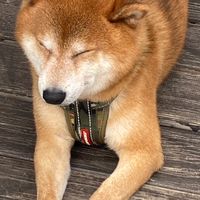 112-2校外實習