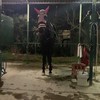 馬好きおいでぇ！！！！