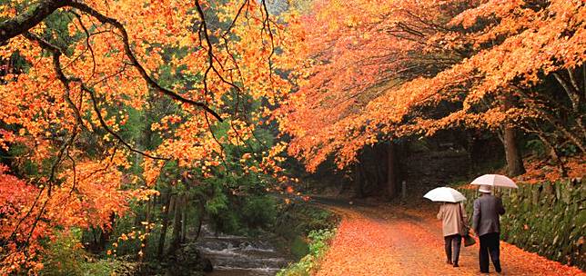 山陽山陰賞楓 就剩你還不知道 廣島 岡山地區紅葉景點推薦 Compathy Magazine Line Today