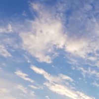 合格体験記記述部屋