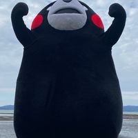 吱吱