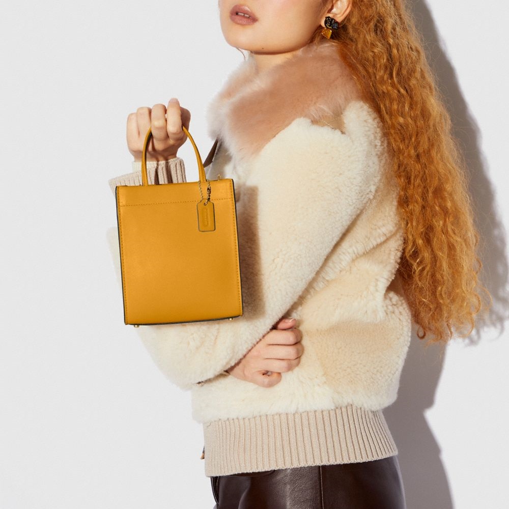 COACH - MINI CASHIN 托特手袋