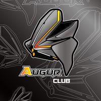 YAMAHA AUGUR CLUB