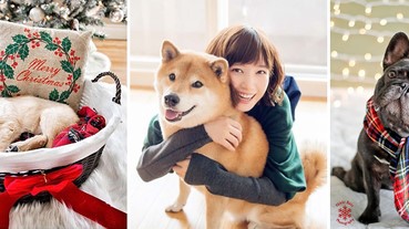 希望有牠陪伴的日子可以更長久，別讓毛小孩吃壞了健康～