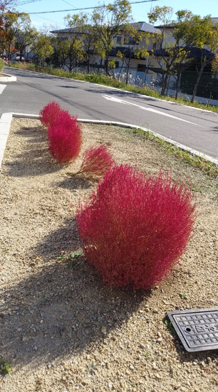 東海bianのオープンチャット