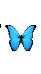 娛樂BTF🦋