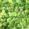 折恋【アホ共の集い】