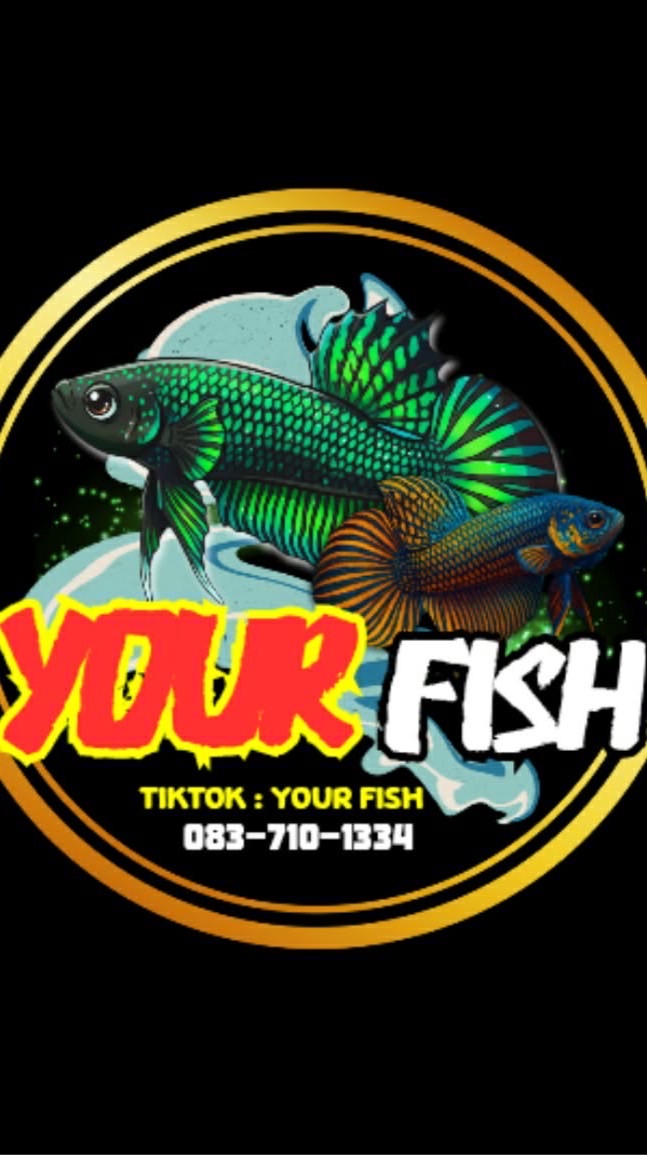 Your fish🐠