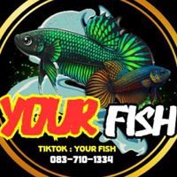 Your fish🐠