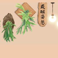 💡蕨醒•姿態🌿