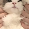 にじさんじオタ友が欲しい~！