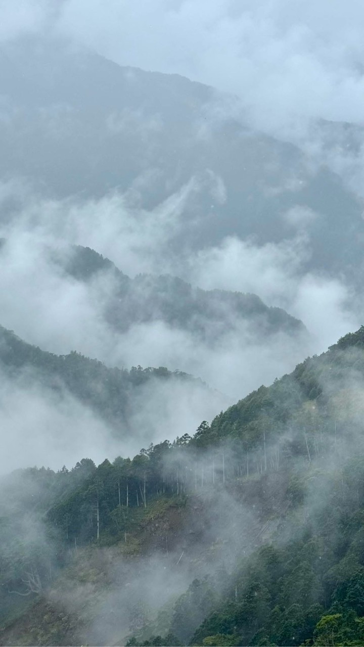 緋的視野