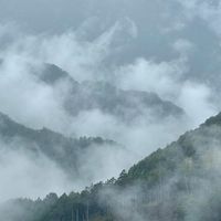 緋的視野