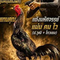แชมป์  ไก่ชนนเรศวร 2 (สำรอง)