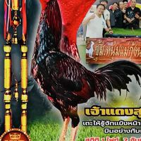 ซุ้ม.หนุ่มแม่กุ้งน้อย เอฟวัน
