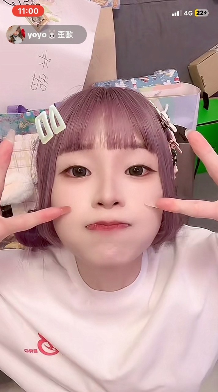歪歐的鴨子