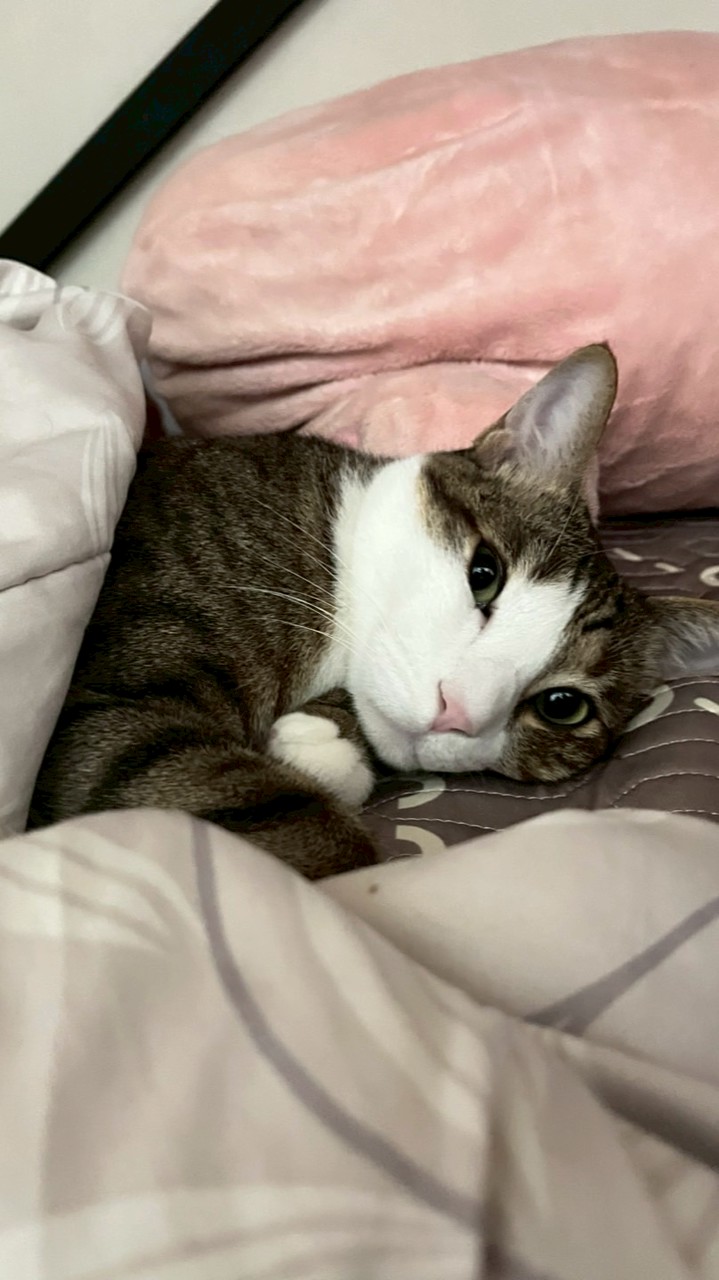 就是要聽團😻‼️