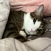 就是要聽團😻‼️