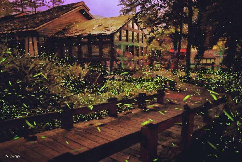 南投縣鹿谷鄉內湖國小