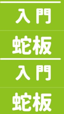 ✨蛇板入門✨哈樂維運動倉庫