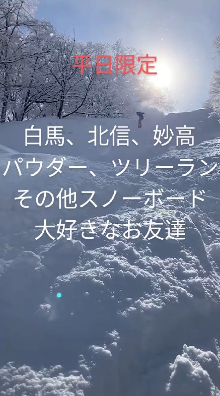 【事前連絡必須】【平日組】白馬、北信、妙高パウダー⛄