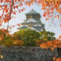2群-日本大阪超省錢旅遊群組
