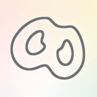賀米亞設計.製造與生產.研發