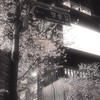 小中高生限定｜学生雑談・ネッ友募集✨