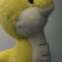 蛇🐍baby媽咪聊天分享交流