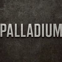 生云國際經銷Palladium