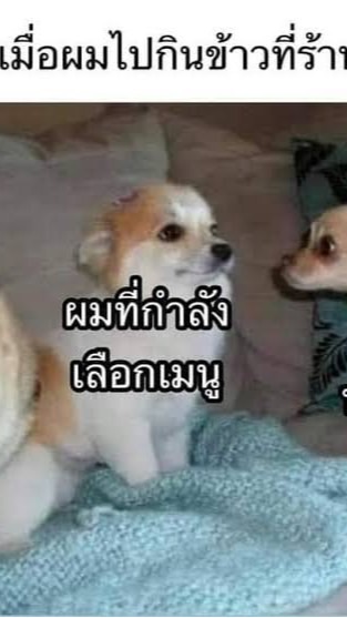 เอาไว้สั่งข้าว