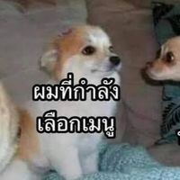 เอาไว้สั่งข้าว