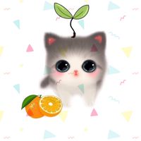 荳叮柑仔店🍊