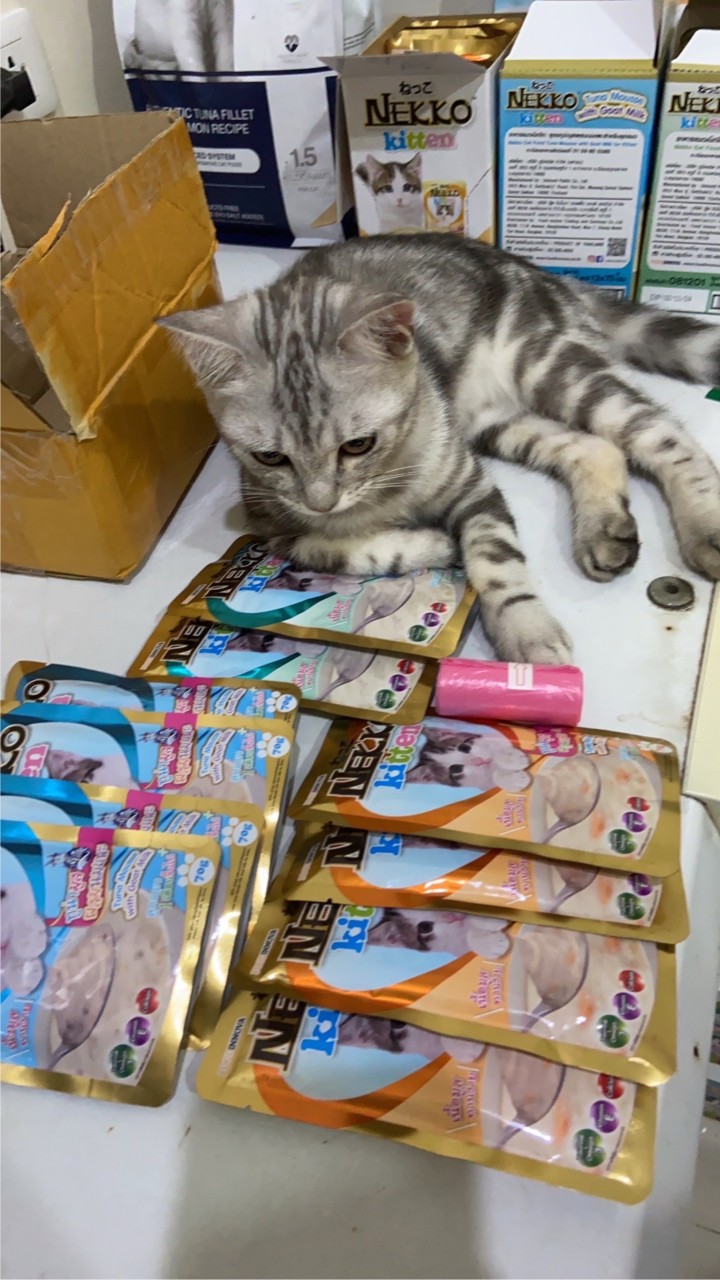 ซื้อขายอาหารสัตว์เลี้ยงโกลเด้นทาวน์ศรีนครินทร์