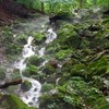 水と土地と自然農法