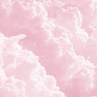 ꧁♪𝐊𝐢𝐦𝐞𝐭𝐬𝐮 𝐧𝐨 𝐘𝐚𝐢𝐛𝐚♪꧂