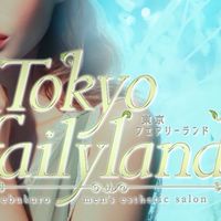 Tokyo Fairy Land