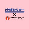沖国×沖縄セルラー 産学共同PJ