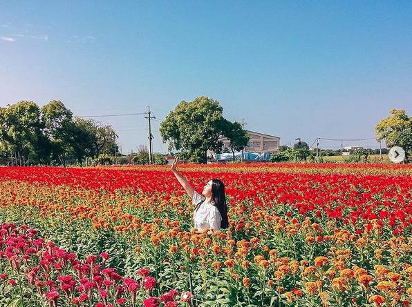 圖片來源 / IG @snow__1123