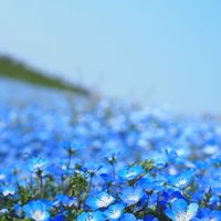 みんなでざつだん！深夜もトーク！