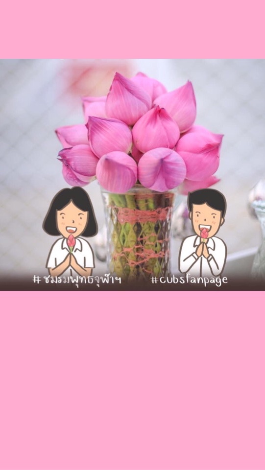CUBS 💞 ชมรมพุทธฯ จุฬาฯ พาสุขใจ 😇🙏🏼✨