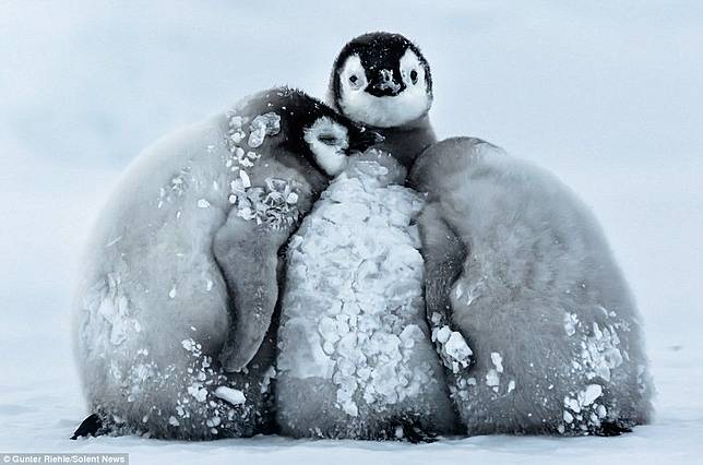 9 Fakta Soal Antartika yang Akan Memuaskan Rasa Ingin Tahumu