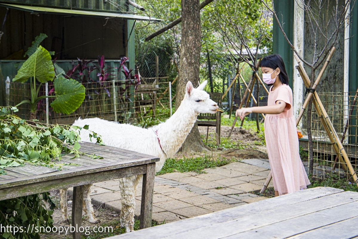 別只逛金山老街！新北人私藏６大祕境：無敵海景公車亭、全台戶外最大美術館