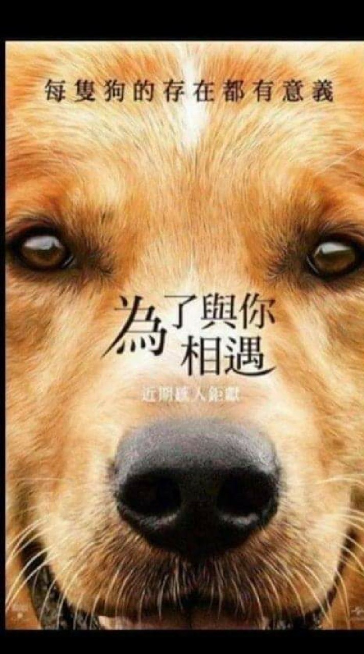 練不好劇場🐵🐶🦊🐷
