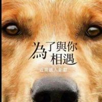 練不好劇場🐵🐶🦊🐷