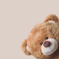 ばびのオプチャ🧸🌺【発言禁止】